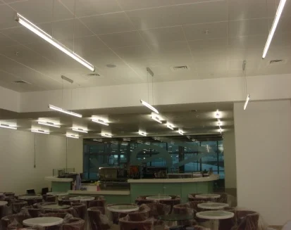 Project Zest, Terminal 5, Heathrow Airport - Image 5